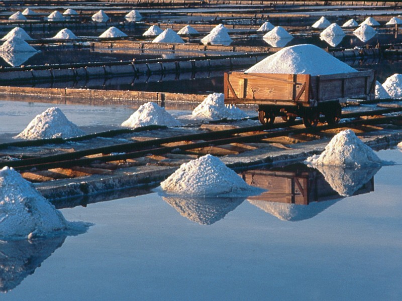 Le Tradizionali Saline di Sicciole